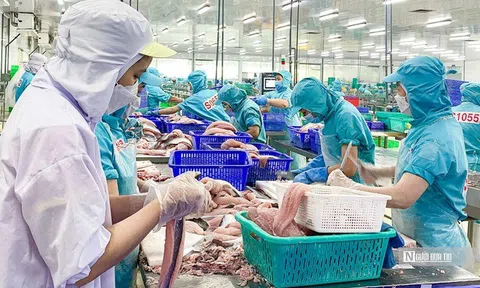 Ngành nông nghiệp có 6 mặt hàng xuất khẩu thuộc nhóm tỷ USD