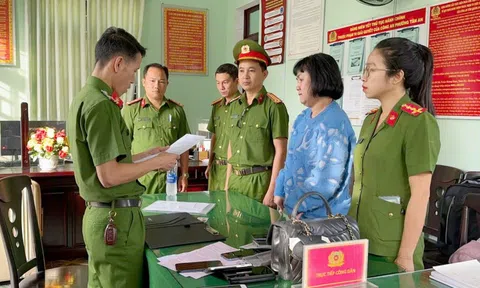 Khởi tố, tạm giam nguyên Tổng giám đốc Công ty cổ phần Bách Đạt An về tội 'tham ô tài sản'