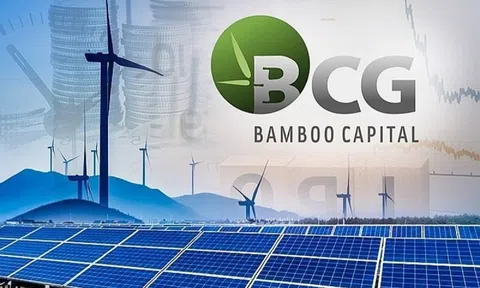 Bamboo Capital (BCG): Lợi nhuận 9 tháng đầu năm đạt 748 tỷ đồng, tăng gấp 4 lần, chi phí tài chính giảm mạnh