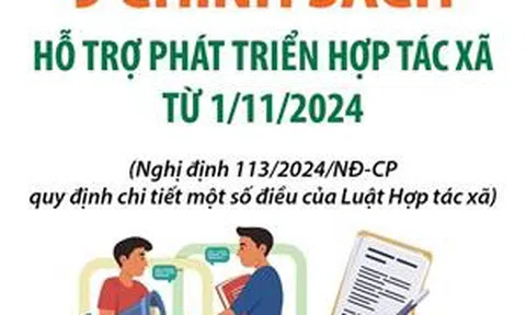 9 chính sách hỗ trợ phát triển hợp tác xã từ 1/11