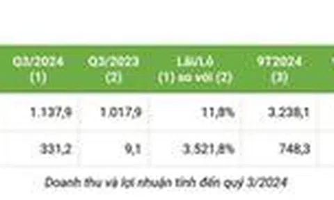 Bamboo Capital: Lợi nhuận quý III/2024 tăng mạnh, hoàn thành gần 79% kế hoạch năm