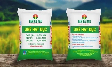 Đạm Cà Mau (DCM) doanh thu quý III sụt giảm, nợ vay tăng mạnh