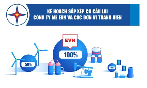 Infographics: Kế hoạch sắp xếp, cơ cấu lại công ty mẹ EVN và các đơn vị thành viên