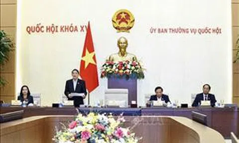 Cần chính sách vượt trội trong đầu tư Dự án đường sắt tốc độ cao Bắc - Nam