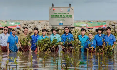 32 dự án vào Vòng chung khảo Giải thưởng Hành động vì cộng đồng 2024