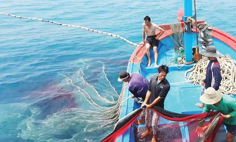 Bà Rịa-Vũng Tàu rà soát thuế, lệ phí đối với tàu cá '3 không'