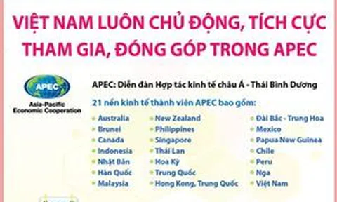 Việt Nam luôn chủ động, tích cực tham gia, đóng góp trong APEC