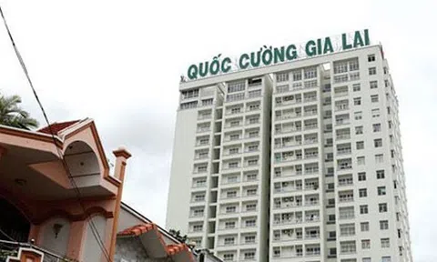 Kiểm toán viên ký Báo cáo tài chính cho Quốc Cường Gia Lai (QCG) bị đình chỉ