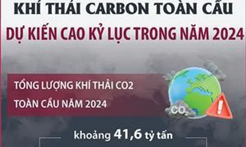 Dự kiến khí thải carbon toàn cầu cao kỷ lục trong năm 2024