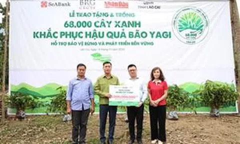 SeABank và Tập đoàn BRG chung tay trồng 68.000 cây phủ xanh gần 20ha rừng tại Lào Cai