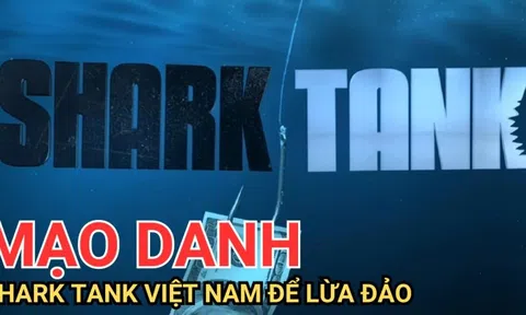 Giám đốc sản xuất chương trình Shark Tank Việt Nam chỉ ra những 'bẫy lừa' mang tên 'đầu tư tài chính cùng Shark'