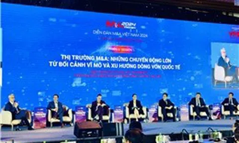 Thị trường M&A 2024: Sức hút từ các thương vụ lớn và sự trỗi dậy của doanh nghiệp Việt