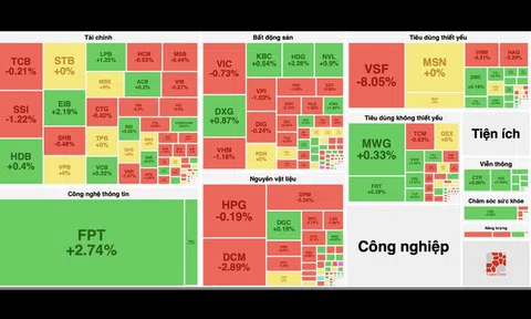 Cổ phiếu nhóm công nghệ lội ngược dòng nổi sóng