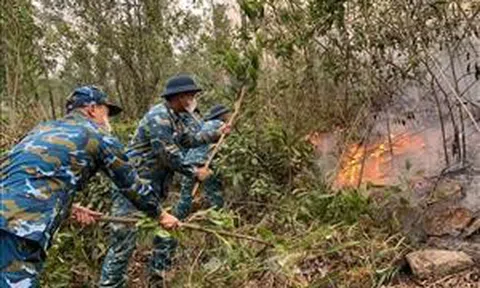 Cơ bản khống chế đám cháy rừng thực bì tại phường Bãi Cháy, Quảng Ninh