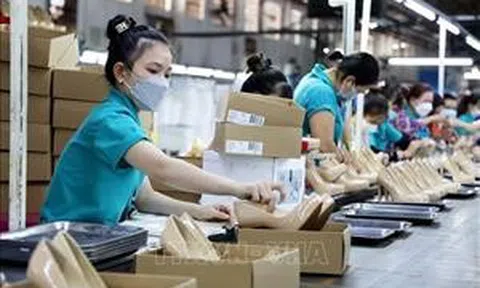 TP Hồ Chí Minh dự báo cần 310.000 - 330.000 lao động trong năm 2025