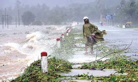 Sản xuất nông nghiệp từng bước được khôi phục sau thiên tai