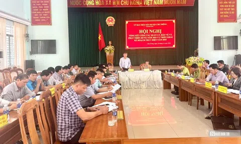 Gia Lai đối phó với nạn phá rừng ngày càng phức tạp, tinh vi