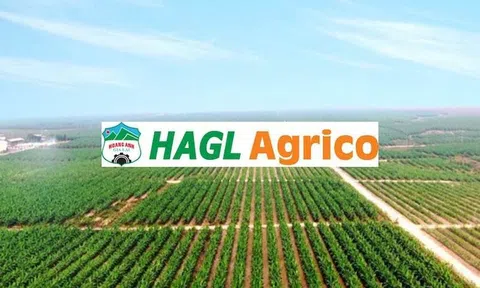 HAGL Agrico (HNG) 'hết nợ' với Hoàng Anh Gia Lai (HAG)