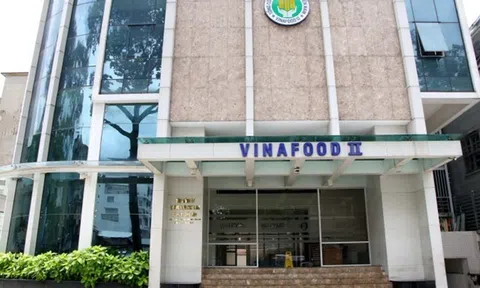 Vinafood II (VSF) đặt mục tiêu doanh thu gần 17.700 tỷ đồng trong năm 2025