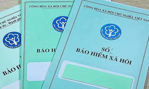 Xây dựng Hòa Bình (HBC) đứng đầu danh sách nợ Bảo hiểm xã hội