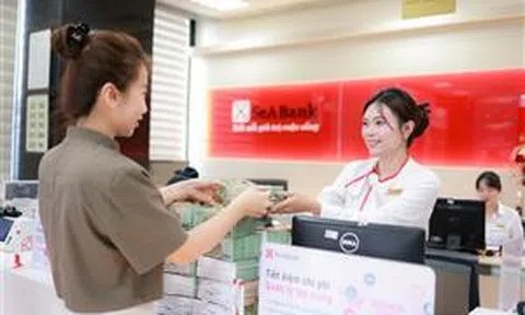 SeABank lãi trước thuế 6.039 tỷ đồng năm 2024