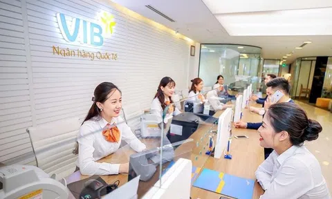 Nợ có khả năng mất vốn của VIB tăng gấp gần 3 lần