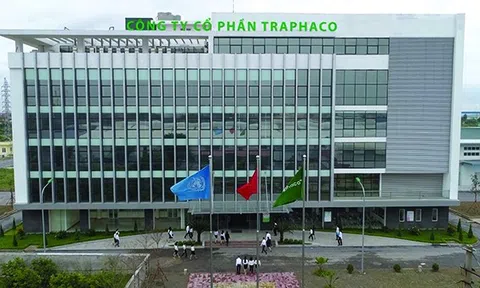 Traphaco (TRA): Lợi nhuận năm 2024 ‘đi lùi’ dù lãi quý IV tăng mạnh