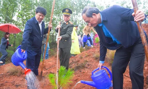 Miền Trung ra quân 'Tết trồng cây đời đời nhớ ơn Bác Hồ'