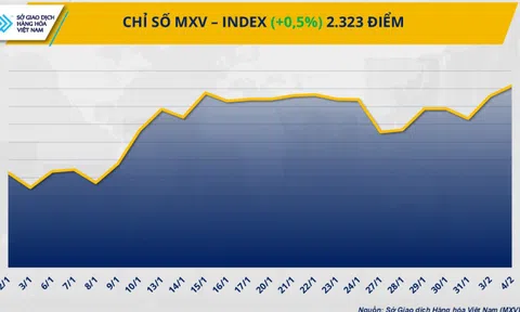 Chỉ số MXV-Index lên mức cao nhất trong vòng 7 tháng