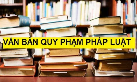 Giải pháp khắc phục ‘độ trễ’ của việc ban hành văn bản pháp luật đối với thực tiễn