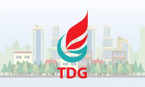 TDG Global (TDG) muốn phát hành gần 6,5 triệu cổ phiếu riêng lẻ với mức giá gấp 3 lần thị giá hiện tại