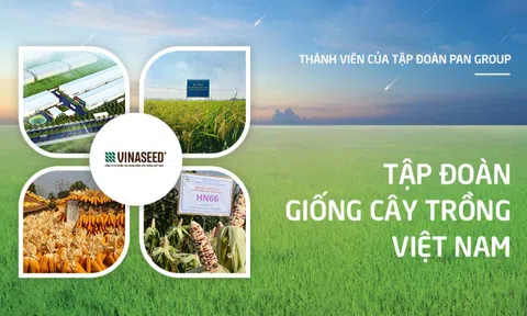 Vinaseed (NSC) có tân Chủ tịch trước thềm ĐHĐCĐ thường niên năm 2025