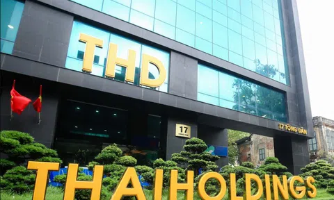 Thu hàng nghìn tỷ thoái vốn Thaigroup, Thaiholdings cho loạt 'doanh nghiệp lạ' vay