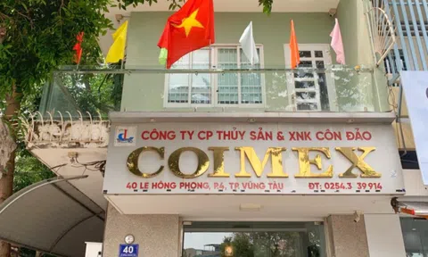 SCIC bán cổ phần COIMEX: Cơ hội đầu tư vào doanh nghiệp thủy sản sở hữu nhiều đất vàng Vũng Tàu?