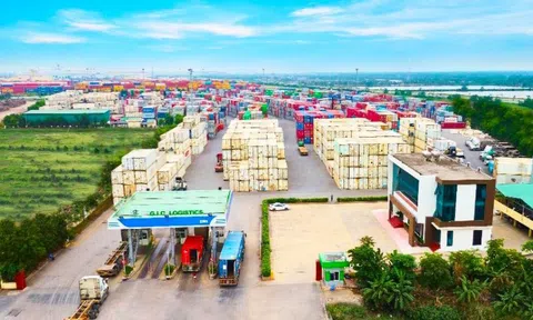 Công ty thành viên của Viconship muốn đổi tên và gia tăng vốn điều lệ lên hơn 254 tỷ đồng