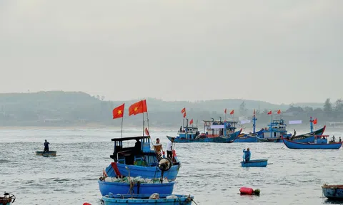 Quảng Ngãi tập trung cao điểm chống khai thác IUU