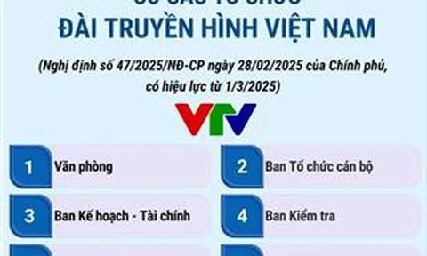 Cơ cấu tổ chức của Đài Truyền hình Việt Nam