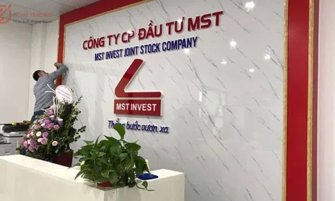 Đầu tư MST (MST) tham vọng tăng trưởng lợi nhuận năm 2025, lên kế hoạch vay 400 tỷ đồng