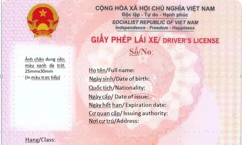 Hướng dẫn nộp "phạt nguội" và tham gia giao thông khi đang trong thời gian chờ cấp, đổi giấy phép lái xe