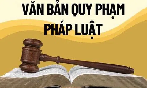 Tiến tới chuyên nghiệp hóa soạn thảo văn bản quy phạm pháp luật tại các Bộ, ngành