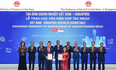 Trường Đại học VinUni và Đại học NTU (Singapore) ký kết hợp tác liên minh chiến lược