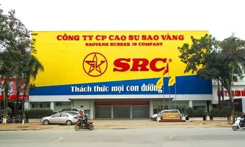 Cao su Sao Vàng (SRC): Lợi nhuận sau kiểm toán năm 2024 tăng 21% nhờ điều chỉnh chi phí thuế