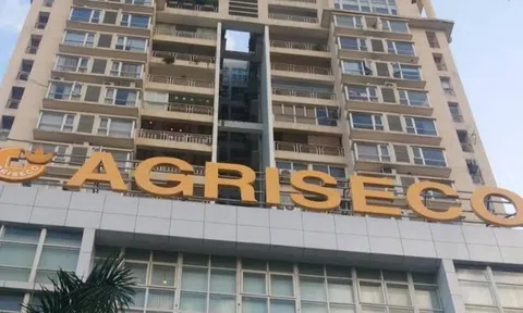 Agriseco (AGR) đặt mục tiêu doanh thu 2025 đạt 450 tỷ đồng, chia cổ tức 6%