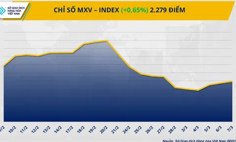 Lực mua chiếm ưu thế kéo MXV-Index ‘thoát’ khỏi đà suy yếu