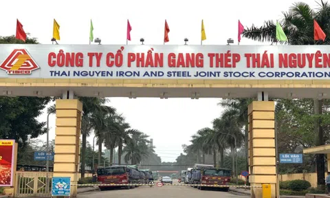 Gang thép Thái Nguyên (TIS): Lỗ sau kiểm toán tăng, tiếp tục bị nghi ngờ khả năng hoạt động