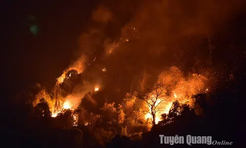 Tuyên Quang: Đã khống chế được cháy rừng tại núi Nghiêm