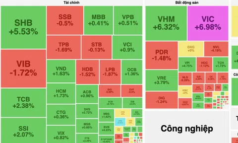 Cổ phiếu họ Vin thăng hoa dẫn dắt thị trường