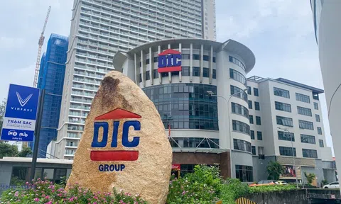 DIC Corp (DIG) lại báo lỗ quý đầu năm 2025