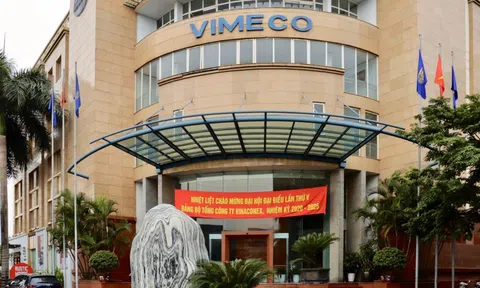 Lỗ 25 tỷ đồng, cổ đông lớn Vimeco (VMC) 'chia tay' sau chưa đầy 4 tháng