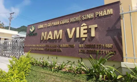 Nam Việt (ANV) giải thể công ty con